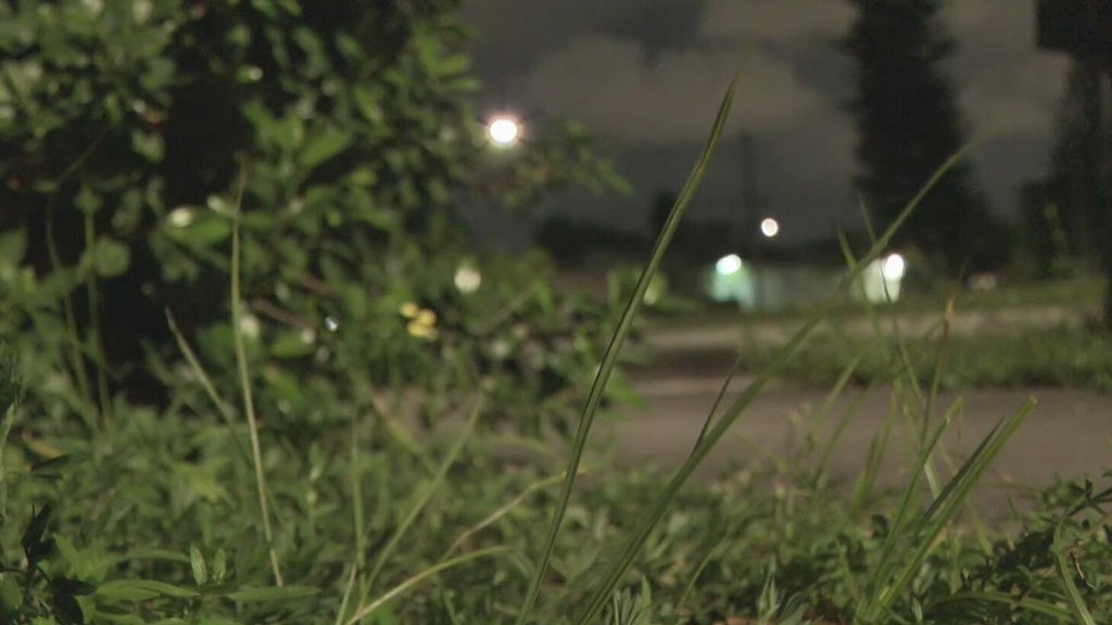 Broward mother says she went months without update after reporting man outside her window — CBS Miami, Singapore Real Estate news