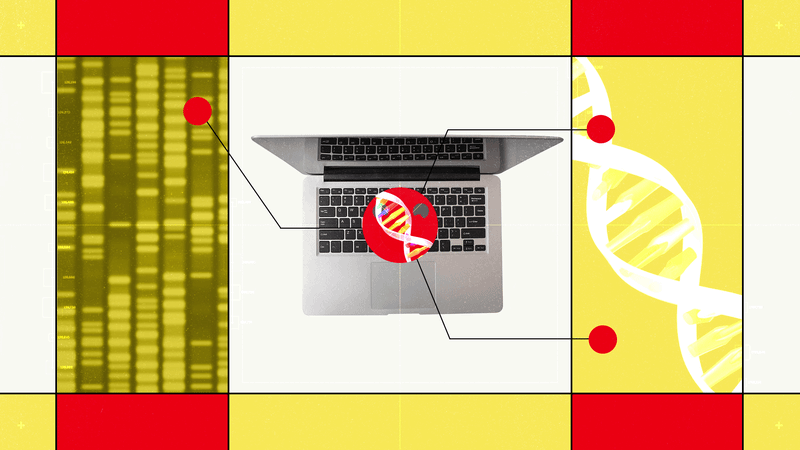 Hugging Face’s New AI Biology Model Lets You Chat With DNA — Wired, Singapore Technology news